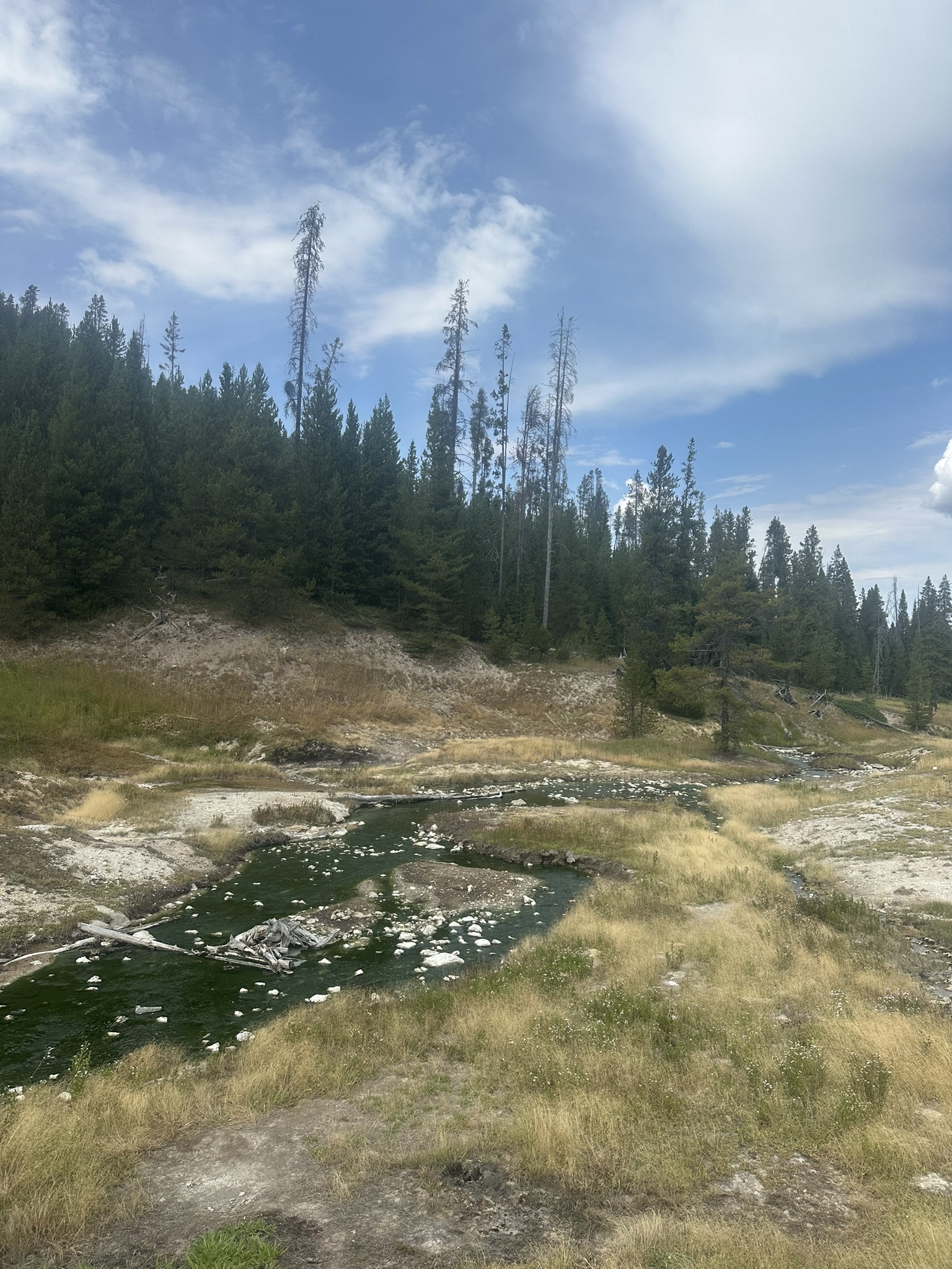 Yellowstone And Grand Teton National Parks - Image 665